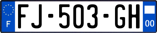 FJ-503-GH