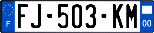 FJ-503-KM