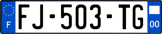 FJ-503-TG