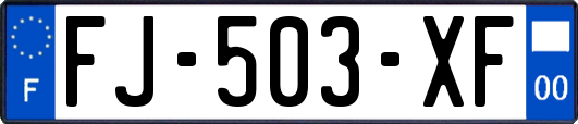 FJ-503-XF