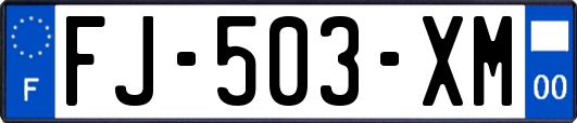 FJ-503-XM