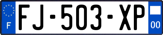 FJ-503-XP