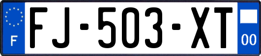 FJ-503-XT