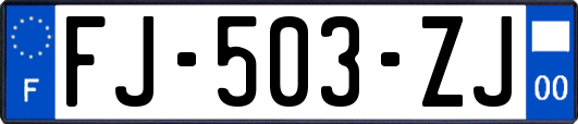 FJ-503-ZJ