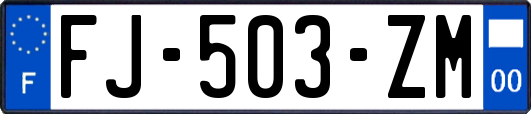 FJ-503-ZM