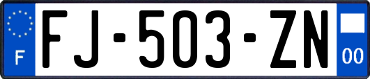 FJ-503-ZN