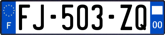 FJ-503-ZQ