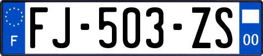 FJ-503-ZS