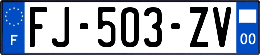 FJ-503-ZV