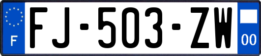 FJ-503-ZW