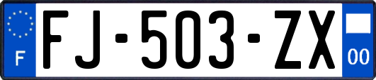 FJ-503-ZX