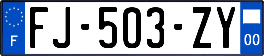 FJ-503-ZY