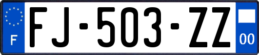 FJ-503-ZZ