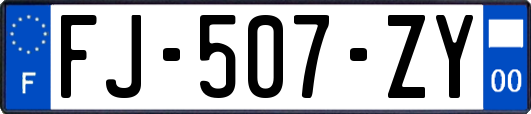 FJ-507-ZY