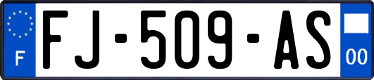 FJ-509-AS