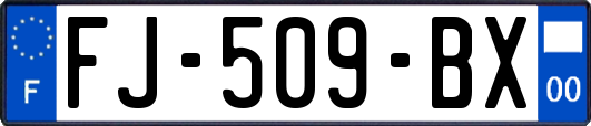 FJ-509-BX