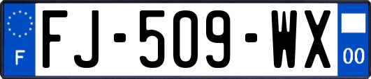 FJ-509-WX