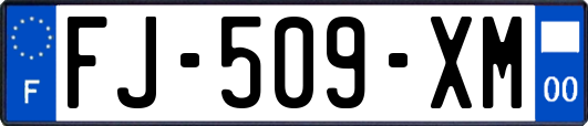 FJ-509-XM