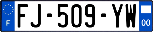 FJ-509-YW