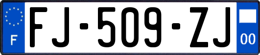 FJ-509-ZJ