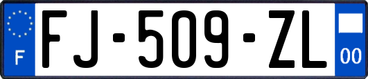 FJ-509-ZL