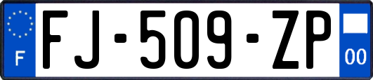 FJ-509-ZP