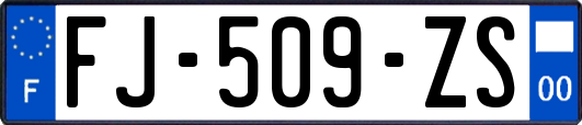 FJ-509-ZS