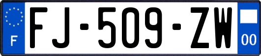 FJ-509-ZW