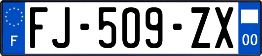 FJ-509-ZX