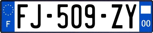 FJ-509-ZY