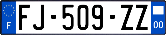 FJ-509-ZZ