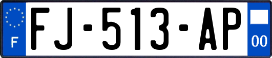 FJ-513-AP