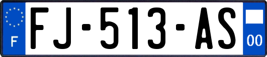 FJ-513-AS