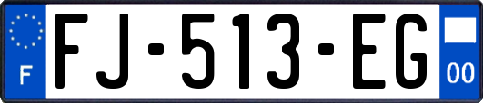 FJ-513-EG