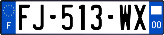 FJ-513-WX