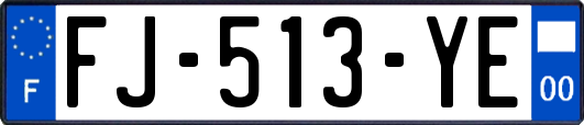 FJ-513-YE