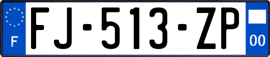 FJ-513-ZP