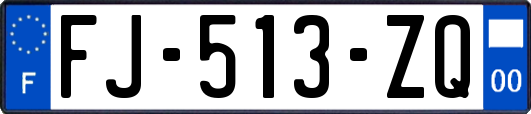 FJ-513-ZQ