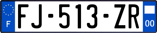 FJ-513-ZR