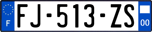 FJ-513-ZS