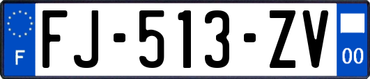 FJ-513-ZV