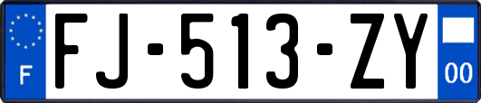 FJ-513-ZY