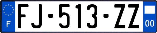 FJ-513-ZZ