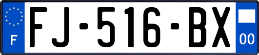 FJ-516-BX