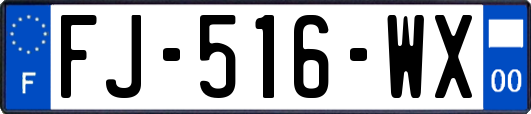 FJ-516-WX