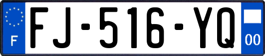 FJ-516-YQ