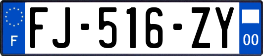 FJ-516-ZY