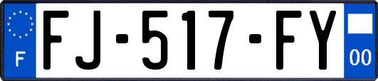 FJ-517-FY
