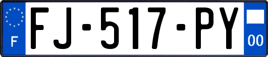 FJ-517-PY