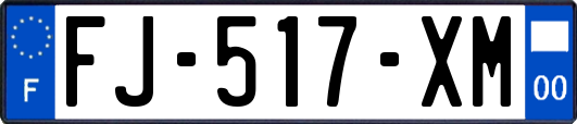 FJ-517-XM